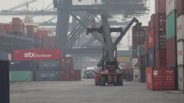 Kontejner operace v přístavu — Stock video