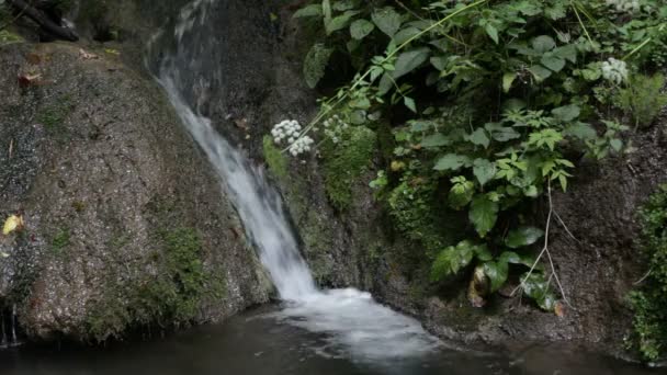 Ruisseau de montagne