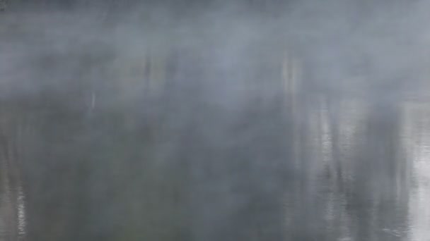 Niebla, primavera — Vídeo de stock