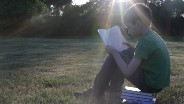 Boy reads book outdoors — Stock Video