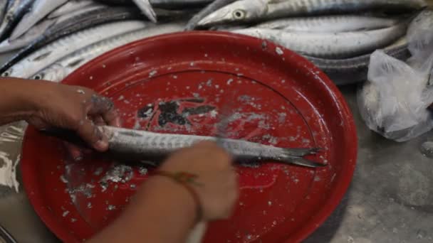 Mercado de mariscos, Tailandia — Vídeo de stock