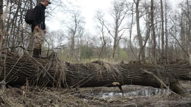 Мандрівник, ноутбук — стокове відео