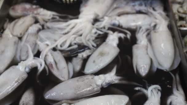 Mercado de mariscos, Tailandia — Vídeos de Stock