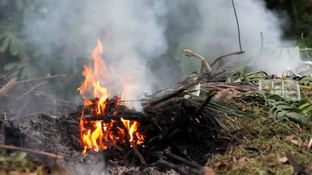 Fuego, basura — Vídeo de stock