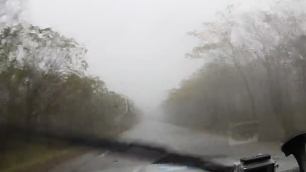 Guida durante la tempesta — Video Stock