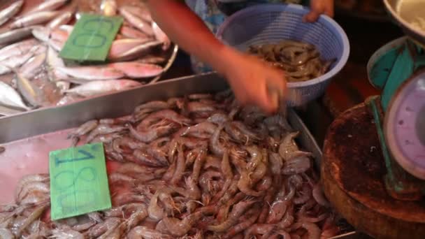 Mercato dei frutti di mare, Thailandia — Video Stock