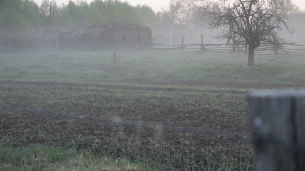 Туман, весна — стоковое видео