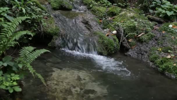 Ruisseau de montagne