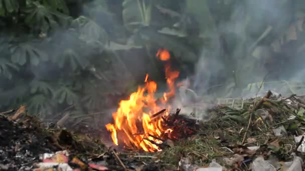 Fire, garbage — Stock Video