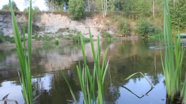 Kayak, río, chica remando — Vídeos de Stock