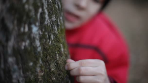Pojke gömmer sig bakom träd — Stockvideo