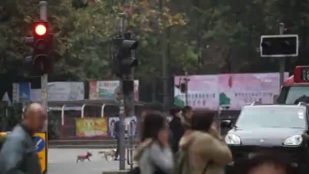 Los coches de movimiento pasan por la calle de la ciudad — Vídeos de Stock