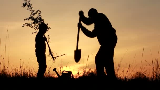 Père et fils plantant un arbre . — Video