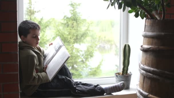 Boy reads a book — Stock Video