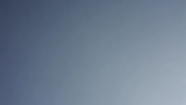 Vol de l'avion 