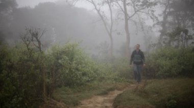 yağmur ormanları. Gezgin.