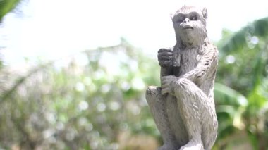 maymunlar, Endonezya.