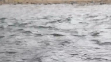 Sonbahar, dağ Nehri