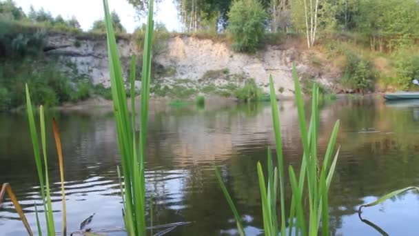 Kayak, river, girl rowing — Stock Video