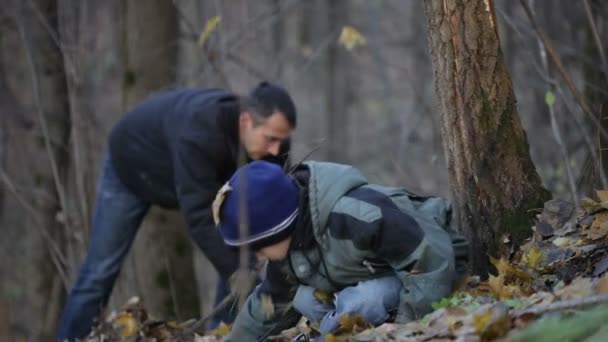 Far och son spelar i skogen — Stockvideo