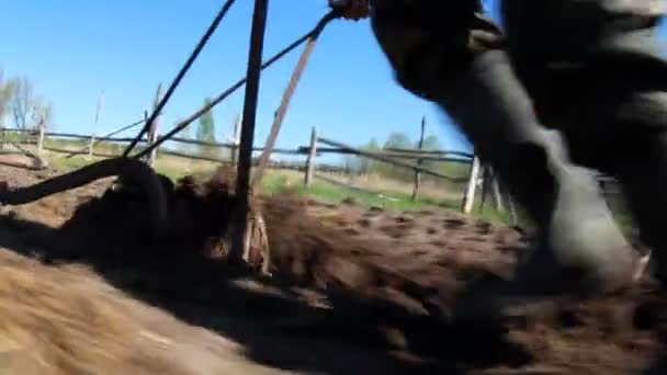 Arar o campo com cavalos — Vídeo de Stock