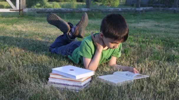 Boy reads book outdoors — Stock Video