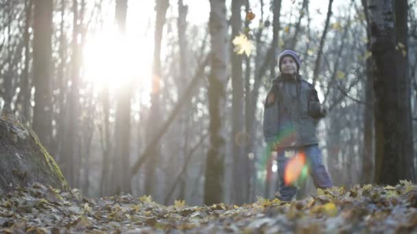 Chlapec s listí v lese — Stock video