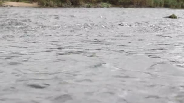 Outono, rio da montanha — Vídeo de Stock