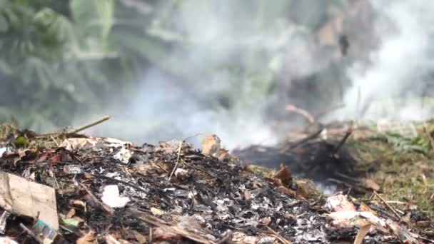 Oheň, odpadky — Stock video