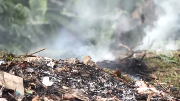 Fuego, basura — Vídeos de Stock