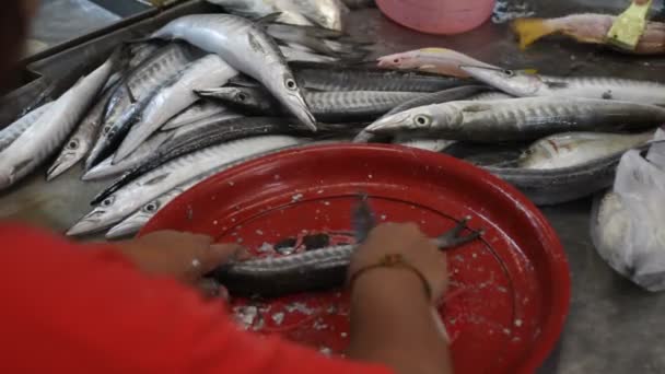 Mercado de frutos do mar, Tailândia — Vídeo de Stock