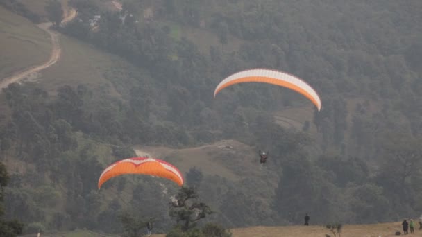 Paragliding. — Stockvideo