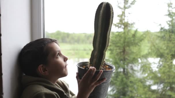 Chico mirando por la ventana y soñando — Vídeo de stock