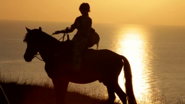 Silueta de chica montada en un caballo — Vídeos de Stock