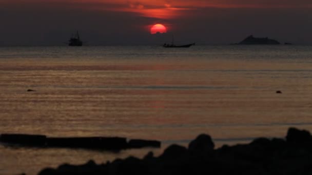 Bateau de pêche, la mer — Video