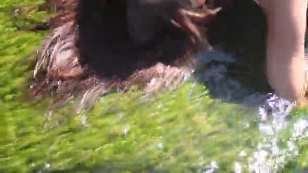 Cheveux de jeune femme dans le ruisseau — Video