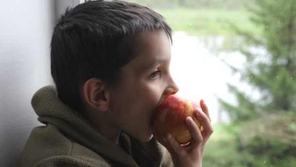 Pojke äter ett äpple — Stockvideo