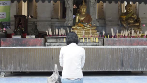 Buddhism, tempel, pilgrimer — Stockvideo