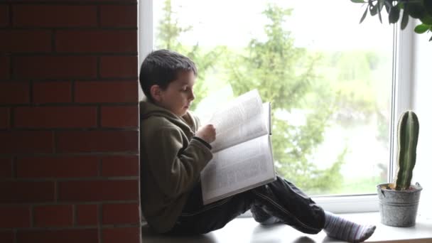 Boy reads a book — Stock Video