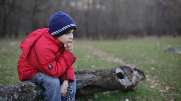 Pojken sitter på loggen tänkande — Stockvideo