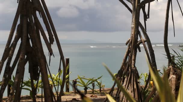 Beach, tropical sea — Stock Video