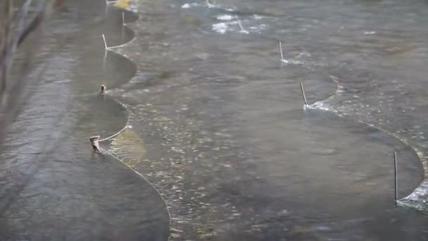 Filets de pêche — Video