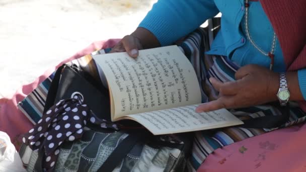 Mujer leyendo — Vídeos de Stock