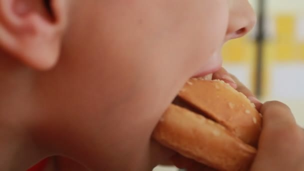 Jeune garçon manger un sandwich — Video