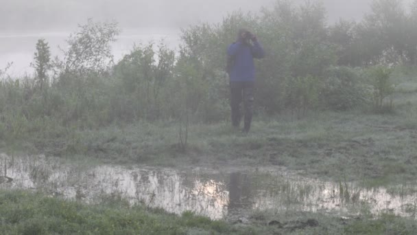 Randonneur, bois, été — Video