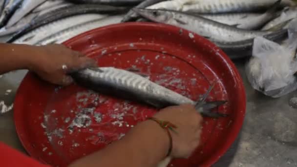 Mercado de frutos do mar, Tailândia — Vídeo de Stock