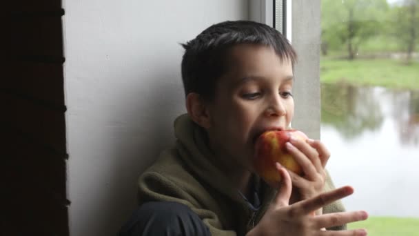 Jongen eet een appel — Stockvideo