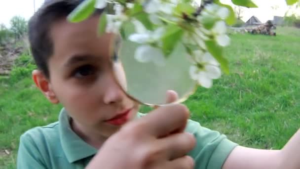 Мальчик с увеличительным стеклом — стоковое видео