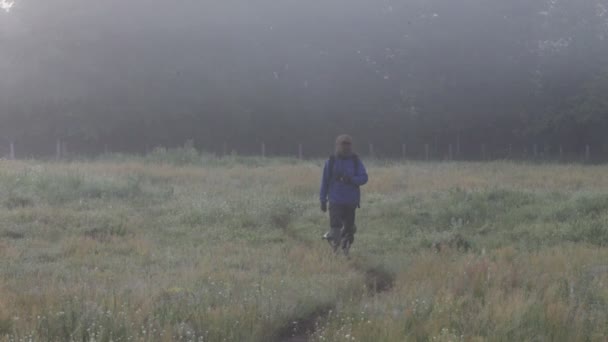 Hiker, woods, summer — Stock Video