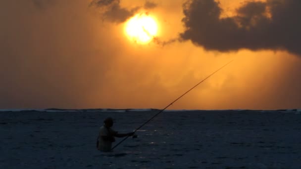 Рыбак, закат, море, солнце — стоковое видео